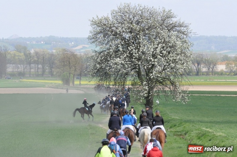 Zdjęcie w galerii na portalu naszraciborz.pl: Rekordowa liczba koni w Bieńkowicach [FOTO i WIDEO] wiadomości z regionu