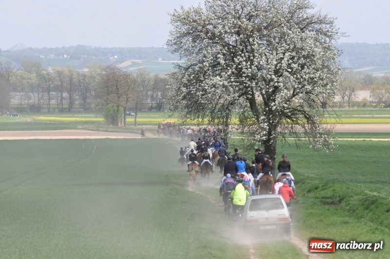 Zdjęcie w galerii na portalu naszraciborz.pl: Rekordowa liczba koni w Bieńkowicach [FOTO i WIDEO] wiadomości z regionu