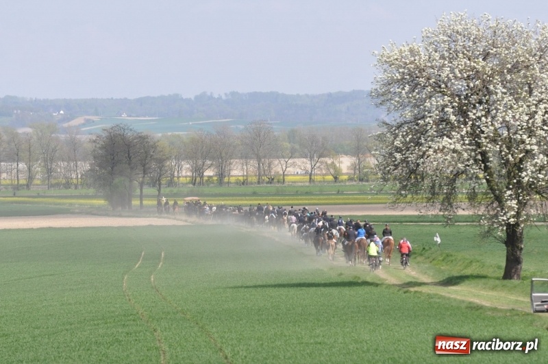 Zdjęcie w galerii na portalu naszraciborz.pl: Rekordowa liczba koni w Bieńkowicach [FOTO i WIDEO] wiadomości z regionu