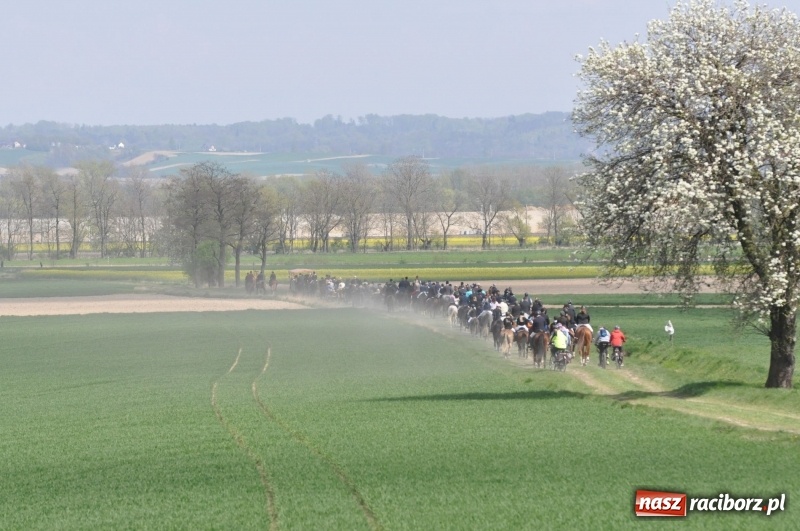 Zdjęcie w galerii na portalu naszraciborz.pl: Rekordowa liczba koni w Bieńkowicach [FOTO i WIDEO] wiadomości z regionu