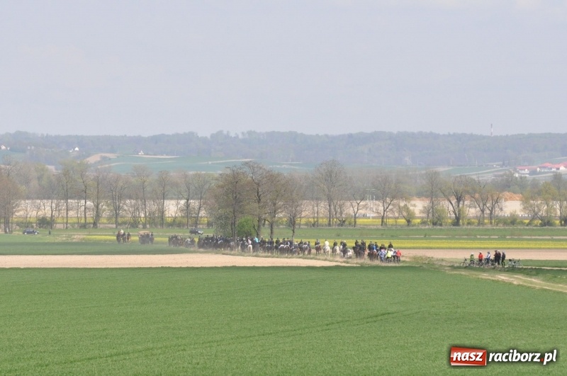 Zdjęcie w galerii na portalu naszraciborz.pl: Rekordowa liczba koni w Bieńkowicach [FOTO i WIDEO] wiadomości z regionu