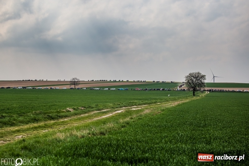 Zdjęcie w galerii na portalu naszraciborz.pl: Rekordowa liczba koni w Bieńkowicach [FOTO i WIDEO] wiadomości z regionu