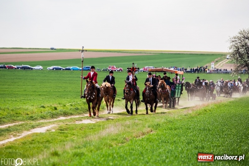 Zdjęcie w galerii na portalu naszraciborz.pl: Rekordowa liczba koni w Bieńkowicach [FOTO i WIDEO] wiadomości z regionu