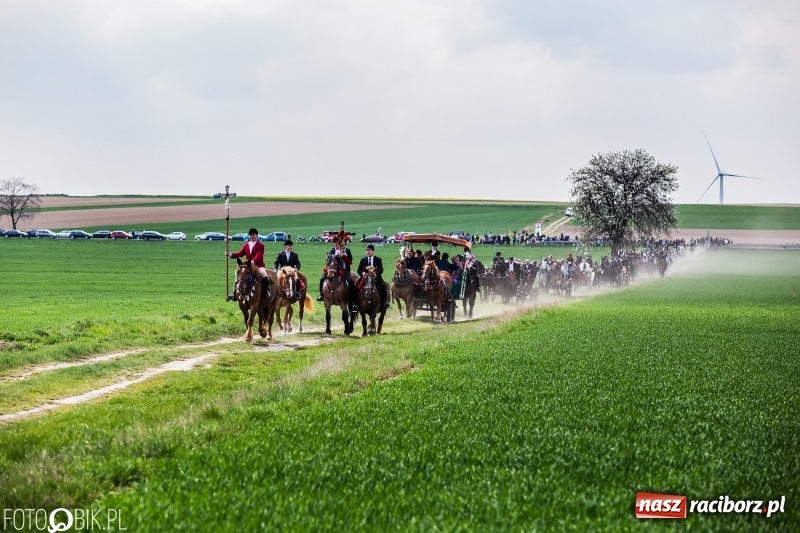 Zdjęcie w galerii na portalu naszraciborz.pl: Rekordowa liczba koni w Bieńkowicach [FOTO i WIDEO] wiadomości z regionu