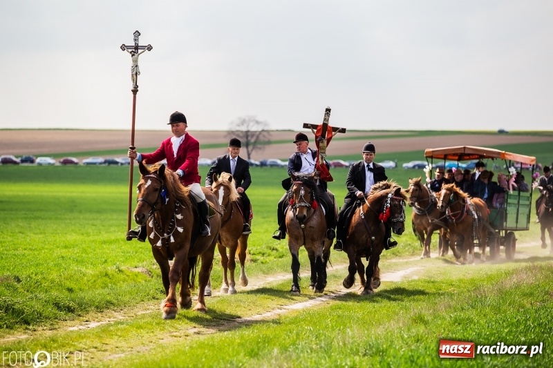 Zdjęcie w galerii na portalu naszraciborz.pl: Rekordowa liczba koni w Bieńkowicach [FOTO i WIDEO] wiadomości z regionu