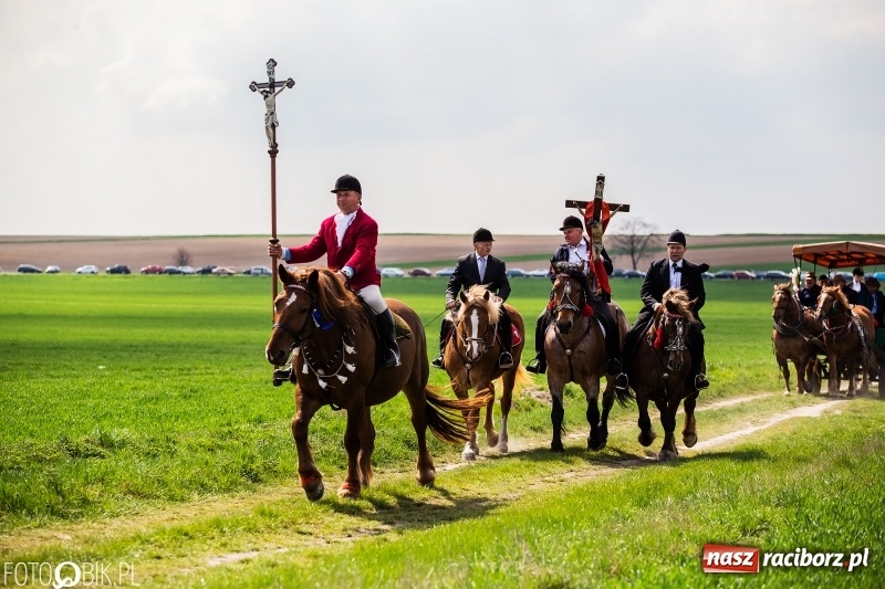 Zdjęcie w galerii na portalu naszraciborz.pl: Rekordowa liczba koni w Bieńkowicach [FOTO i WIDEO] wiadomości z regionu