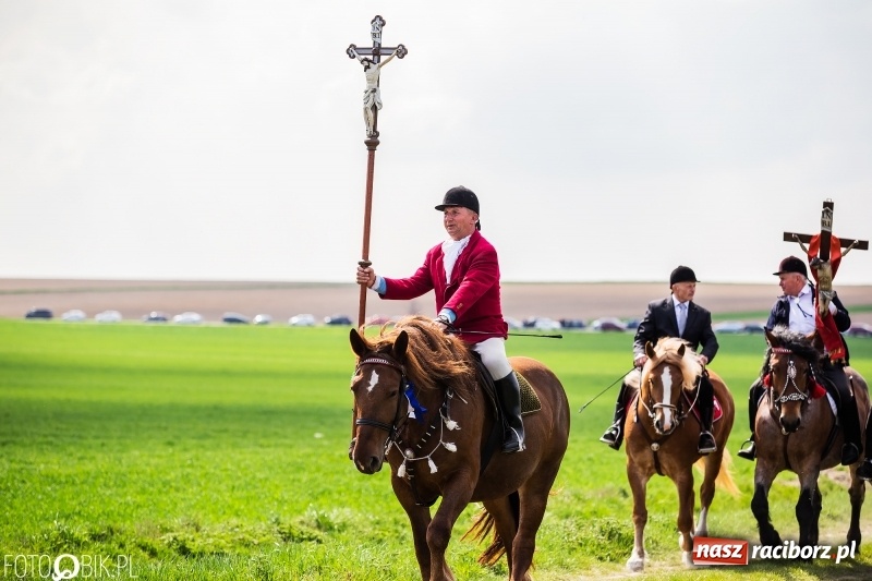 Zdjęcie w galerii na portalu naszraciborz.pl: Rekordowa liczba koni w Bieńkowicach [FOTO i WIDEO] wiadomości z regionu