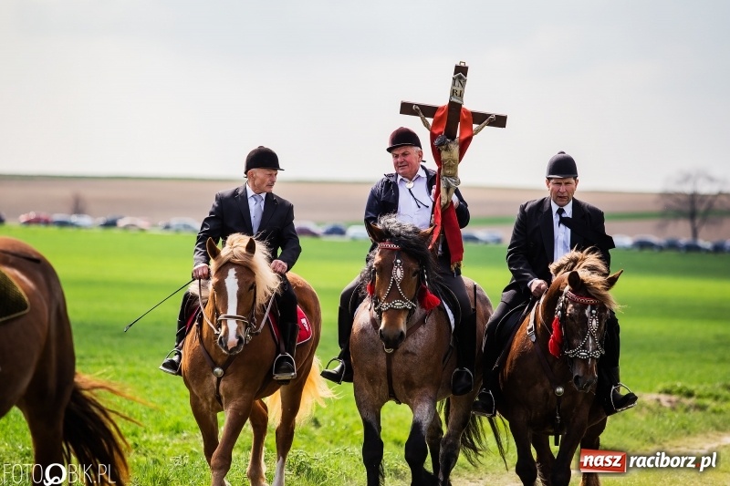 Zdjęcie w galerii na portalu naszraciborz.pl: Rekordowa liczba koni w Bieńkowicach [FOTO i WIDEO] wiadomości z regionu