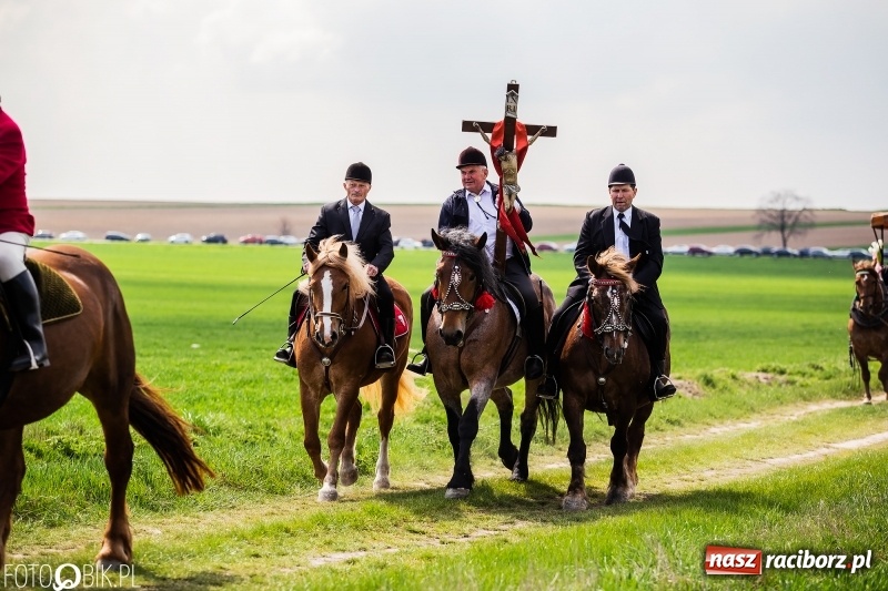 Zdjęcie w galerii na portalu naszraciborz.pl: Rekordowa liczba koni w Bieńkowicach [FOTO i WIDEO] wiadomości z regionu