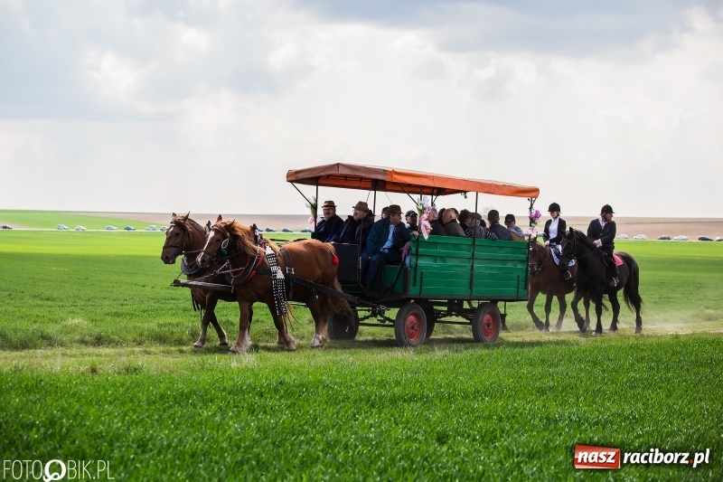 Zdjęcie w galerii na portalu naszraciborz.pl: Rekordowa liczba koni w Bieńkowicach [FOTO i WIDEO] wiadomości z regionu