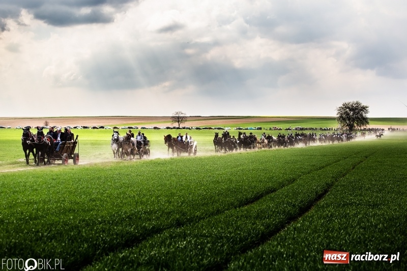 Zdjęcie w galerii na portalu naszraciborz.pl: Rekordowa liczba koni w Bieńkowicach [FOTO i WIDEO] wiadomości z regionu