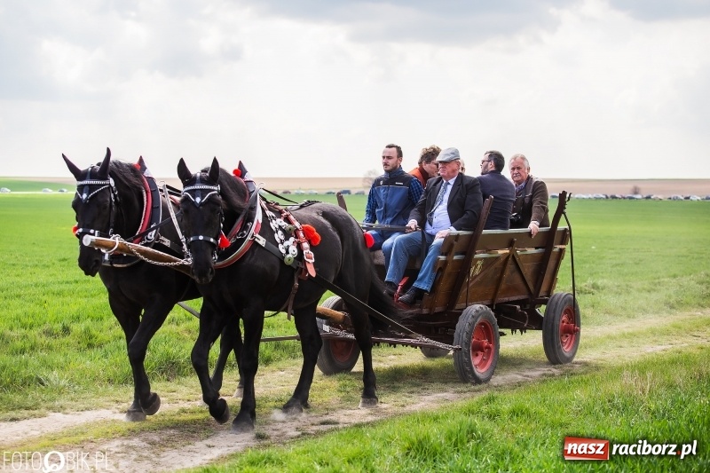 Zdjęcie w galerii na portalu naszraciborz.pl: Rekordowa liczba koni w Bieńkowicach [FOTO i WIDEO] wiadomości z regionu