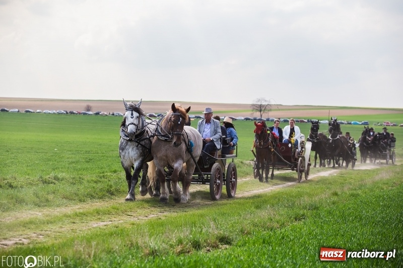Zdjęcie w galerii na portalu naszraciborz.pl: Rekordowa liczba koni w Bieńkowicach [FOTO i WIDEO] wiadomości z regionu