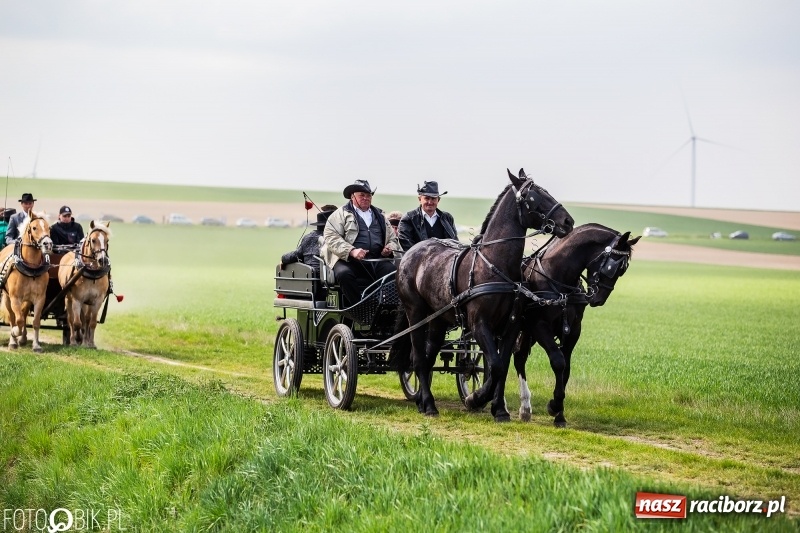Zdjęcie w galerii na portalu naszraciborz.pl: Rekordowa liczba koni w Bieńkowicach [FOTO i WIDEO] wiadomości z regionu