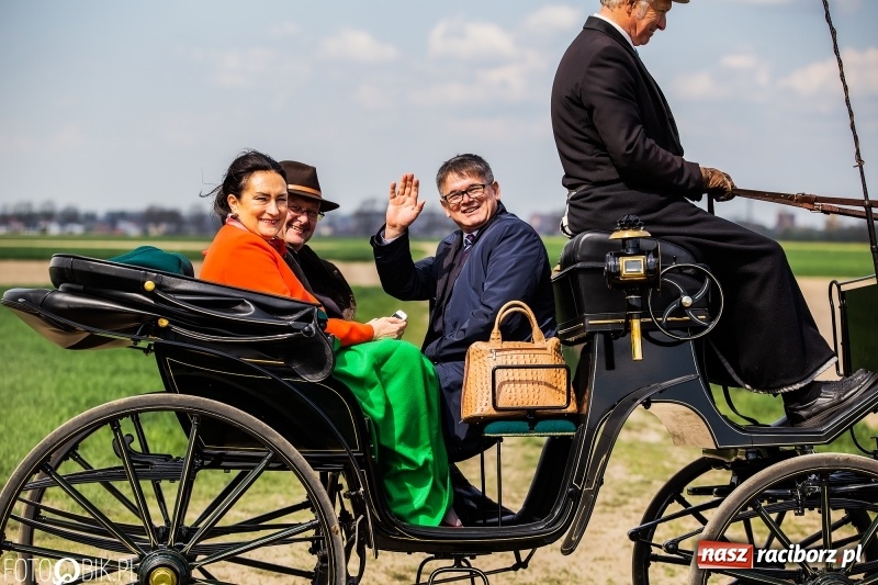 Zdjęcie w galerii na portalu naszraciborz.pl: Rekordowa liczba koni w Bieńkowicach [FOTO i WIDEO] wiadomości z regionu