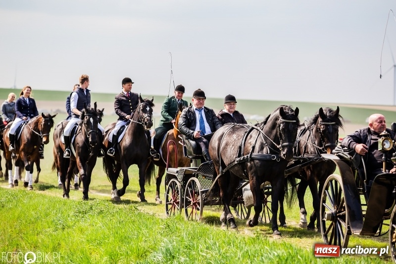 Zdjęcie w galerii na portalu naszraciborz.pl: Rekordowa liczba koni w Bieńkowicach [FOTO i WIDEO] wiadomości z regionu