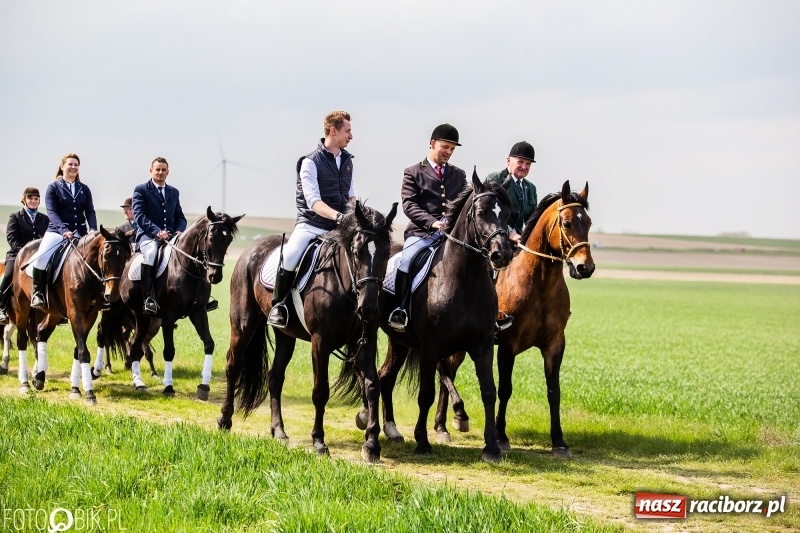 Zdjęcie w galerii na portalu naszraciborz.pl: Rekordowa liczba koni w Bieńkowicach [FOTO i WIDEO] wiadomości z regionu