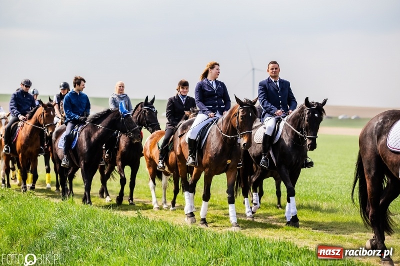 Zdjęcie w galerii na portalu naszraciborz.pl: Rekordowa liczba koni w Bieńkowicach [FOTO i WIDEO] wiadomości z regionu