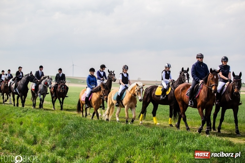 Zdjęcie w galerii na portalu naszraciborz.pl: Rekordowa liczba koni w Bieńkowicach [FOTO i WIDEO] wiadomości z regionu