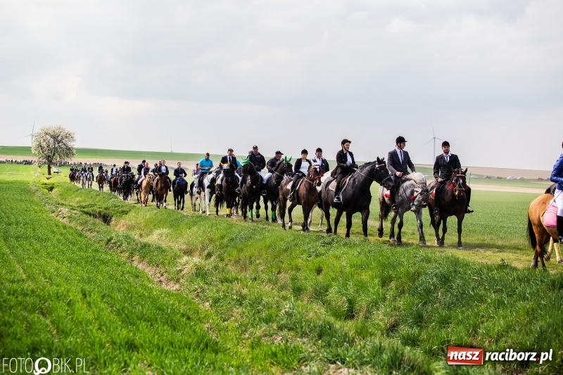 Zdjęcie w galerii na portalu naszraciborz.pl: Rekordowa liczba koni w Bieńkowicach [FOTO i WIDEO] wiadomości z regionu