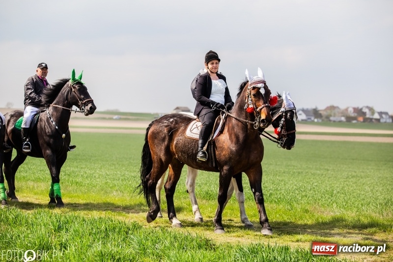 Zdjęcie w galerii na portalu naszraciborz.pl: Rekordowa liczba koni w Bieńkowicach [FOTO i WIDEO] wiadomości z regionu