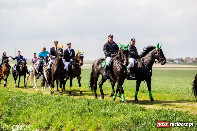 Zdjęcie w galerii na portalu naszraciborz.pl: Rekordowa liczba koni w Bieńkowicach [FOTO i WIDEO] wiadomości z regionu