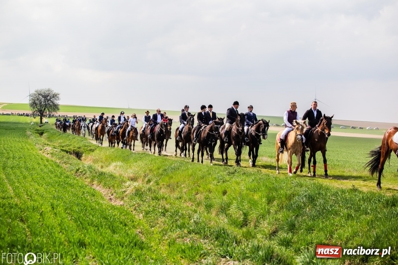Zdjęcie w galerii na portalu naszraciborz.pl: Rekordowa liczba koni w Bieńkowicach [FOTO i WIDEO] wiadomości z regionu