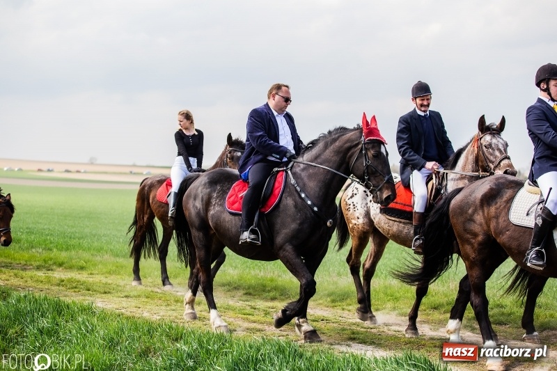 Zdjęcie w galerii na portalu naszraciborz.pl: Rekordowa liczba koni w Bieńkowicach [FOTO i WIDEO] wiadomości z regionu