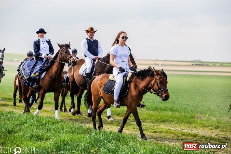Zdjęcie w galerii na portalu naszraciborz.pl: Rekordowa liczba koni w Bieńkowicach [FOTO i WIDEO] wiadomości z regionu