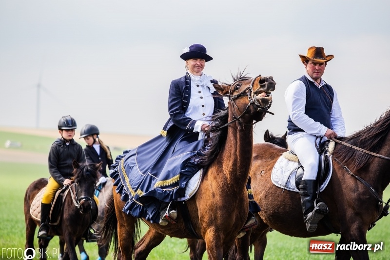 Zdjęcie w galerii na portalu naszraciborz.pl: Rekordowa liczba koni w Bieńkowicach [FOTO i WIDEO] wiadomości z regionu