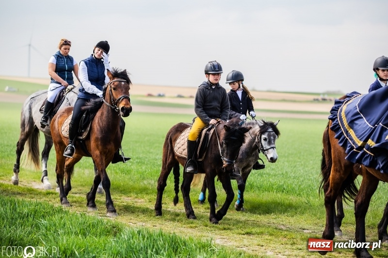 Zdjęcie w galerii na portalu naszraciborz.pl: Rekordowa liczba koni w Bieńkowicach [FOTO i WIDEO] wiadomości z regionu