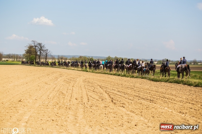 Zdjęcie w galerii na portalu naszraciborz.pl: Rekordowa liczba koni w Bieńkowicach [FOTO i WIDEO] wiadomości z regionu