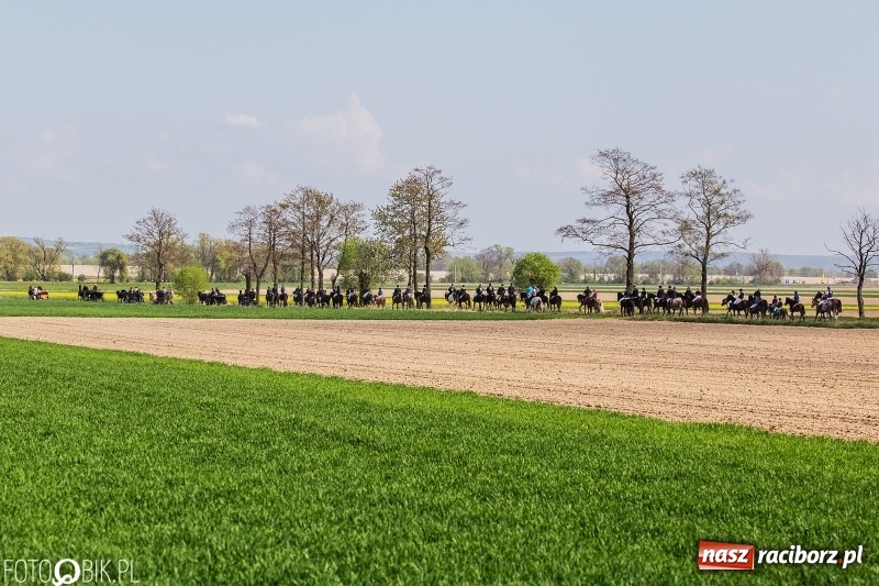 Zdjęcie w galerii na portalu naszraciborz.pl: Rekordowa liczba koni w Bieńkowicach [FOTO i WIDEO] wiadomości z regionu