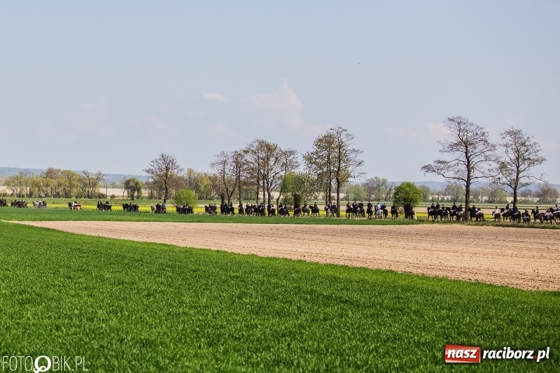 Zdjęcie w galerii na portalu naszraciborz.pl: Rekordowa liczba koni w Bieńkowicach [FOTO i WIDEO] wiadomości z regionu