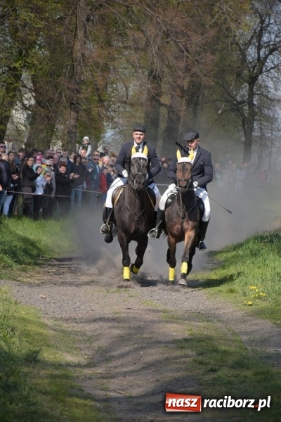 Zdjęcie w galerii na portalu naszraciborz.pl: Rekordowa liczba koni w Bieńkowicach [FOTO i WIDEO] wiadomości z regionu