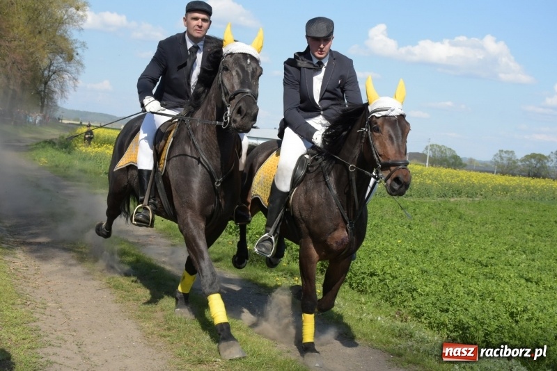 Zdjęcie w galerii na portalu naszraciborz.pl: Rekordowa liczba koni w Bieńkowicach [FOTO i WIDEO] wiadomości z regionu