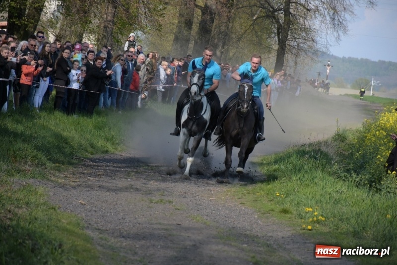 Zdjęcie w galerii na portalu naszraciborz.pl: Rekordowa liczba koni w Bieńkowicach [FOTO i WIDEO] wiadomości z regionu