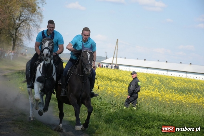 Zdjęcie w galerii na portalu naszraciborz.pl: Rekordowa liczba koni w Bieńkowicach [FOTO i WIDEO] wiadomości z regionu