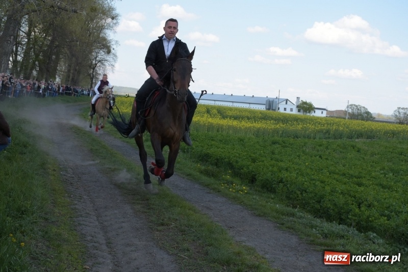 Zdjęcie w galerii na portalu naszraciborz.pl: Rekordowa liczba koni w Bieńkowicach [FOTO i WIDEO] wiadomości z regionu