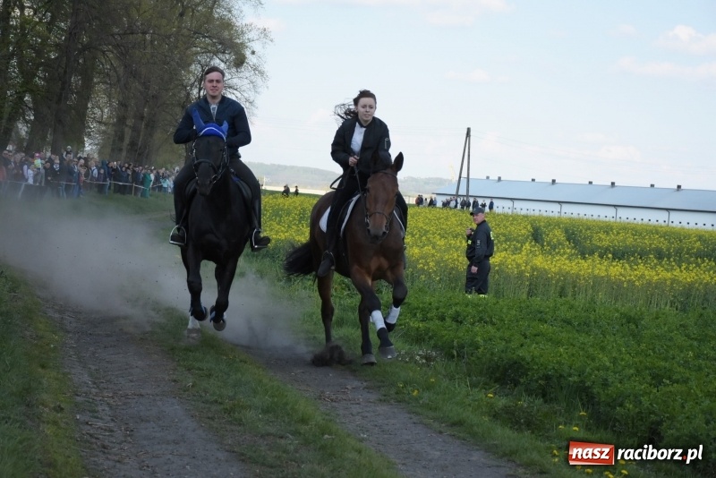 Zdjęcie w galerii na portalu naszraciborz.pl: Rekordowa liczba koni w Bieńkowicach [FOTO i WIDEO] wiadomości z regionu