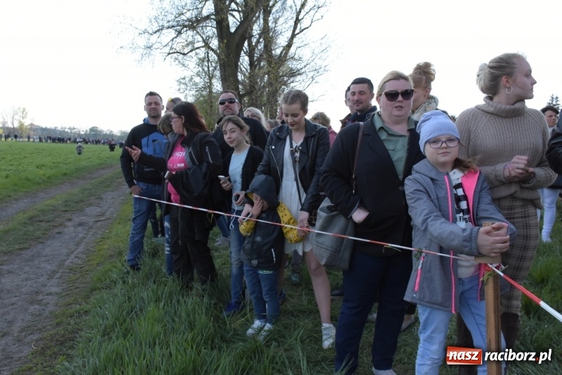 Zdjęcie w galerii na portalu naszraciborz.pl: Rekordowa liczba koni w Bieńkowicach [FOTO i WIDEO] wiadomości z regionu