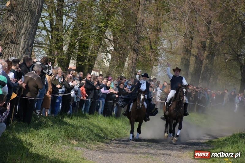 Zdjęcie w galerii na portalu naszraciborz.pl: Rekordowa liczba koni w Bieńkowicach [FOTO i WIDEO] wiadomości z regionu