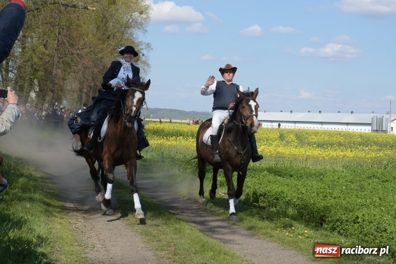 Zdjęcie w galerii na portalu naszraciborz.pl: Rekordowa liczba koni w Bieńkowicach [FOTO i WIDEO] wiadomości z regionu