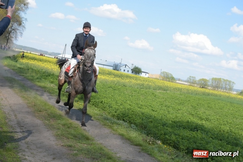 Zdjęcie w galerii na portalu naszraciborz.pl: Rekordowa liczba koni w Bieńkowicach [FOTO i WIDEO] wiadomości z regionu