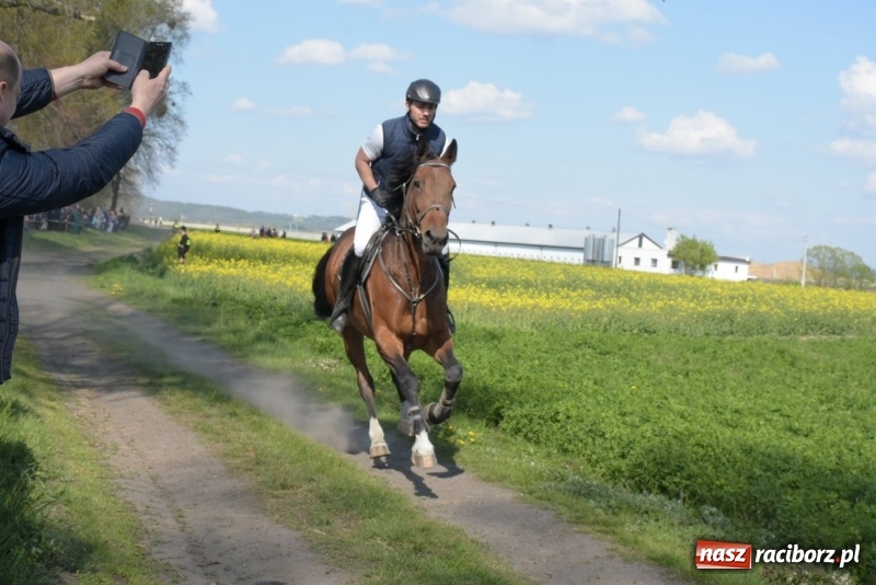 Zdjęcie w galerii na portalu naszraciborz.pl: Rekordowa liczba koni w Bieńkowicach [FOTO i WIDEO] wiadomości z regionu