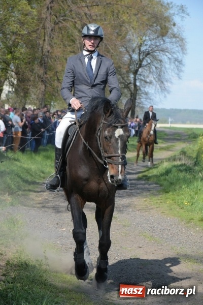 Zdjęcie w galerii na portalu naszraciborz.pl: Rekordowa liczba koni w Bieńkowicach [FOTO i WIDEO] wiadomości z regionu