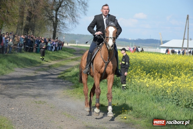 Zdjęcie w galerii na portalu naszraciborz.pl: Rekordowa liczba koni w Bieńkowicach [FOTO i WIDEO] wiadomości z regionu