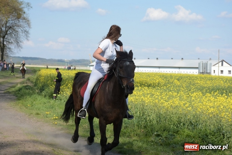 Zdjęcie w galerii na portalu naszraciborz.pl: Rekordowa liczba koni w Bieńkowicach [FOTO i WIDEO] wiadomości z regionu