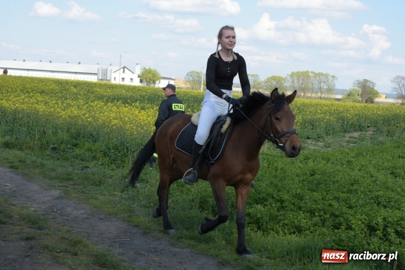 Zdjęcie w galerii na portalu naszraciborz.pl: Rekordowa liczba koni w Bieńkowicach [FOTO i WIDEO] wiadomości z regionu