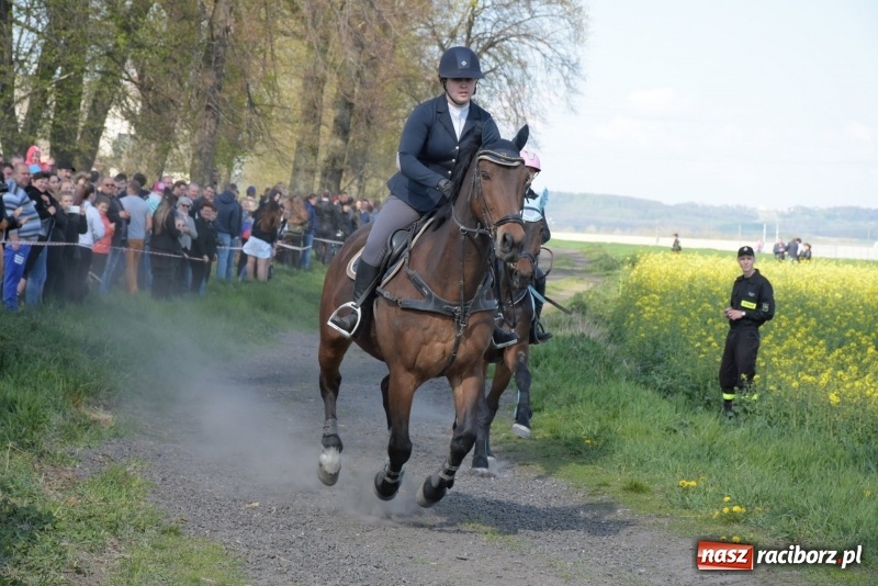 Zdjęcie w galerii na portalu naszraciborz.pl: Rekordowa liczba koni w Bieńkowicach [FOTO i WIDEO] wiadomości z regionu